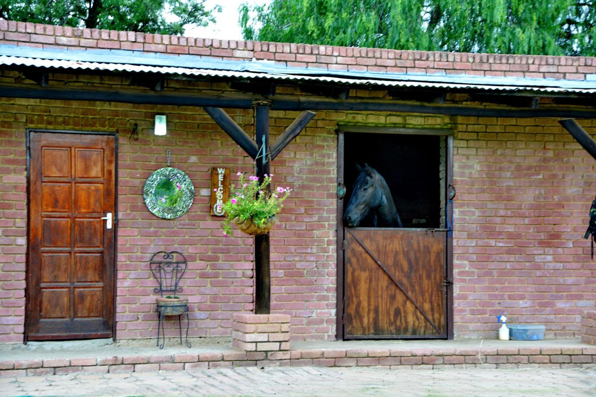 Owls Loft Guest House Midrand Esterno foto