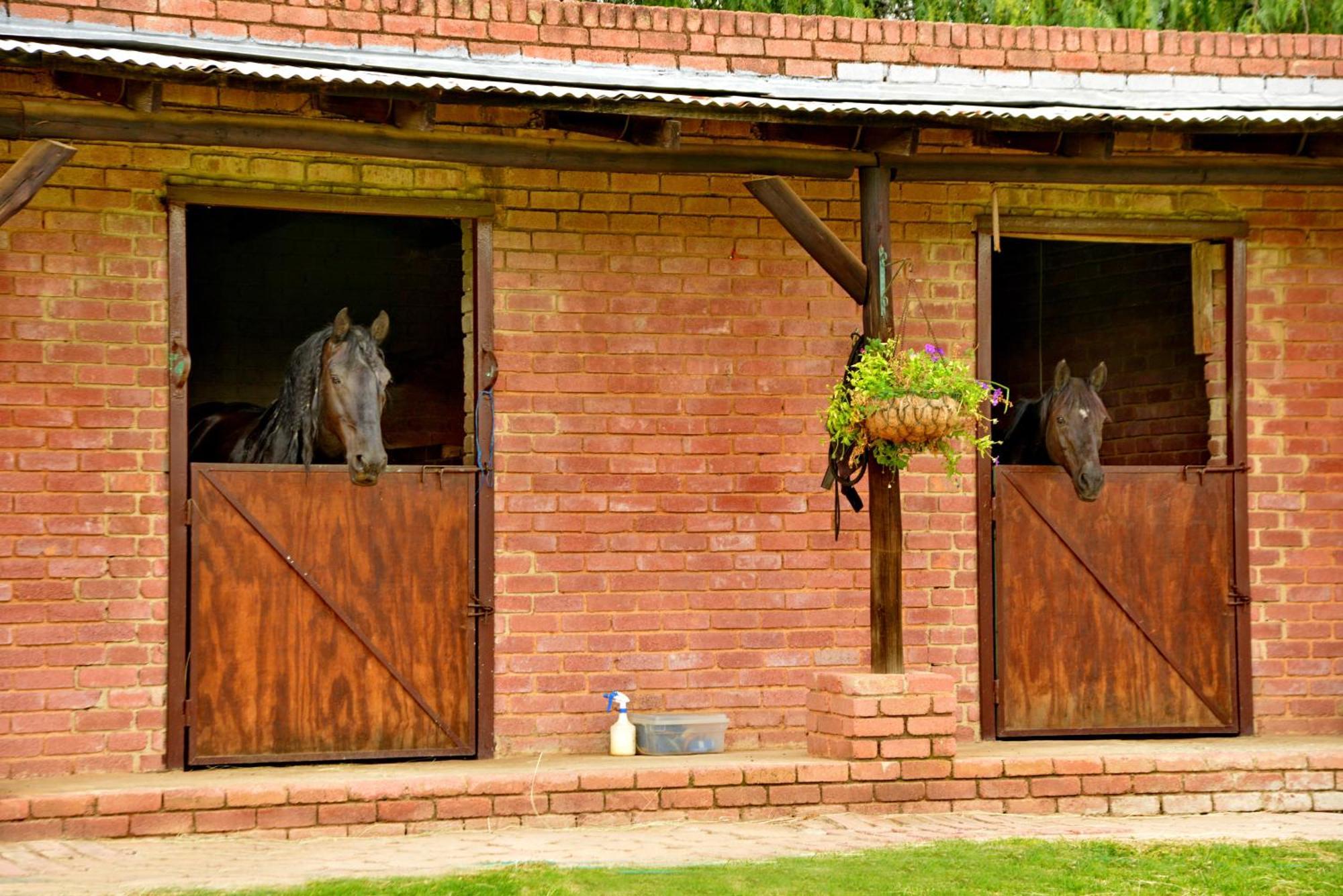 Owls Loft Guest House Midrand Esterno foto