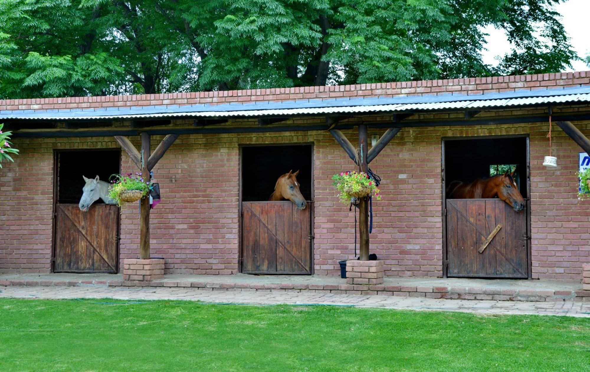 Owls Loft Guest House Midrand Esterno foto